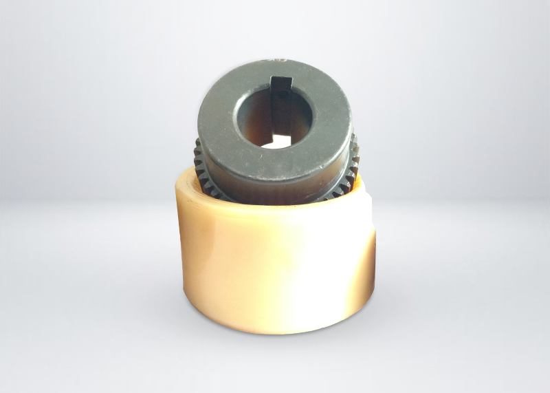 Gear Coupling