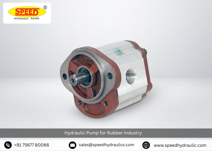 Hydraulic Pump for Rubber Industry